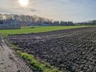 Działki rolne na sprzedaż - Biskupice, gm. Grodziec - 5