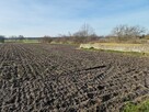 Działki rolne na sprzedaż - Biskupice, gm. Grodziec - 7