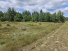Działka budowlana Stare Wrońska gm. Załuski, - 10