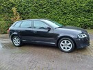 Audi A3 zadbany, bardzo dobry stan - 5