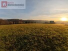 Działka budowlana Grabie gm. Skawina - 4