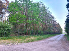 Działka leśna Altanka gm. Sochaczew, - 2