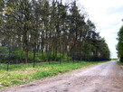 Działka leśna Altanka gm. Sochaczew, - 5