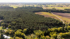 Działka leśna Maurzyce gm. Zduny, - 4