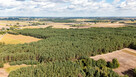 Działka leśna Maurzyce gm. Zduny, - 5