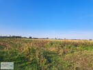 Działka rolna Łubnice Przeczów - 3