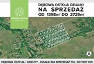 DĘBOWA OSTOJA piękne działki budowlane w Urzutach! dz. 3 - 3