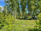 Działka inwestycyjna Warszawa gm. Wawer Wawer, Aleksandrów Pierwszy, Pliszki - 8