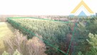 Działka leśna w Chłopowie 3,24 ha , 230 tys.! - 1