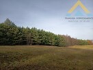 Działka leśna w Chłopowie 3,24 ha , 230 tys.! - 2