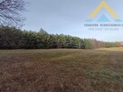 Działka leśna w Chłopowie 3,24 ha , 230 tys.! - 4