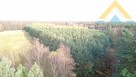 Działka leśna w Chłopowie 3,24 ha , 230 tys.! - 5