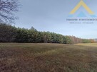 Działka leśna w Chłopowie 3,24 ha , 230 tys.! - 7