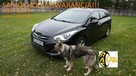 Hyundai i40 Polski salon. Gwarancja. Polecam !!! - 1