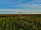 Działka budowlana Rusocice gm. Czernichów - 5