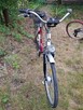 Rower City Bike Comfort - 2