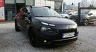 Citroen C4 Cactus - 2