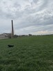 Sprzedam dom z działką 2 hektary - 12