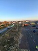 Wycinka Drzew • Czyszczenie Lasów i Działek • Szybkie Termin - 2
