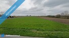Bednary-Kolonia gm. Nieborów. Działka budowlana 877m2. - 3