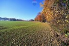Działka rolna Witkowice - 10