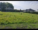 Sprzedam 2 działki w KRYNCE - 3