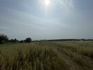 Działka budowlana Wólka Bałtowska gm. Bałtów, - 12