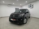 Kia Picanto 1.0/Bezwypadkowy/Serwisowany/Gwarancja roczna w cenie
