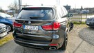 BMW X5 2.0i+E-Drive 244PS*ZAREJESTROWANY*Bezwypadkowy*Serwis*GWARANCJA24 - 10
