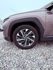 Hyundai Tucson - 10