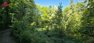 Działka rekreacyjna Zawadka gm. Tokarnia - 1