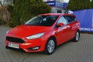 Ford Focus 120 km, Active City Stop, salon Polska