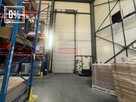 Hala produkcyjno magazynowa z zapleczem. Czyżyny - 3