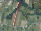 Działka rolno-budowlana Ołpiny gm. Szerzyny - 2