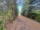 Działka budowlana 2100 m2 z domem. Zakręt - 11