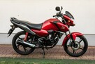 Honda CB 125 F 2021 POLIFT  Raty Wysyłka TRANSPORT Największy Wybór Moto - 3
