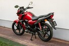 Honda CB 125 F 2021 POLIFT  Raty Wysyłka TRANSPORT Największy Wybór Moto - 5