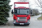 Scania P250 Euro6 sypialna firanka cen. smarowanie winda Nowe plandeki - 2