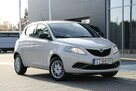 Lancia Ypsilon 1.2 8V Elefantino S&S - 2