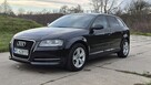 Audi A3 _1.6TDI 105KM_Skóra Climatronic Grzane Pdc Polski Salon - 2