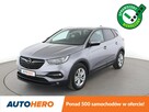 Opel Grandland X GRATIS! Pakiet Serwisowy o wartości 600 zł!