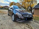 Mercedes B250 4-matic 2,0 benzyna Automat Skóry - 2