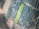 Sprzedam działkę bud- rolną w Łabędziowie 1,1 ha Morawica - 7