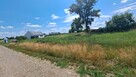 Działka inwestycyjna Ludów Śląski gm. Borów, - 4