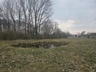 Działka budowlana Sanie gm. Aleksandrów Łódzki, - 6