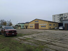 Piaseczno –Hala 450 m² + biuro + antresola 100m2 + duży plac - 7