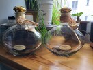 2xKrzeska z ziołami 0,7l -PUSTE Kolekcjonerskie - real foto - 5