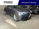Alfa Romeo Stelvio Executive 2.0Turbo 280KM automat Q4 2019/2020 r., salon PL, I wł., VAT