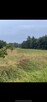 Duża działka rolna z dojazdem drogą asfaltową - 3