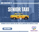 Pomoc seniorowi- sprzątanie, zakupy, taxi, asysta - 2
